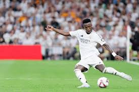 这一质疑有 这一质疑有